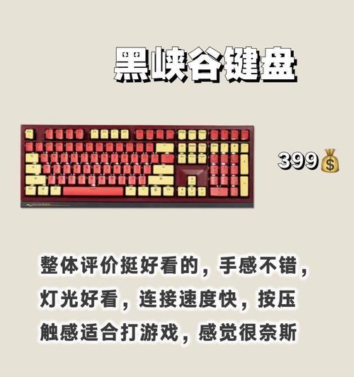 CSGO职业选手ygg使用什么键盘？键盘选择对游戏性能有何影响？  第3张
