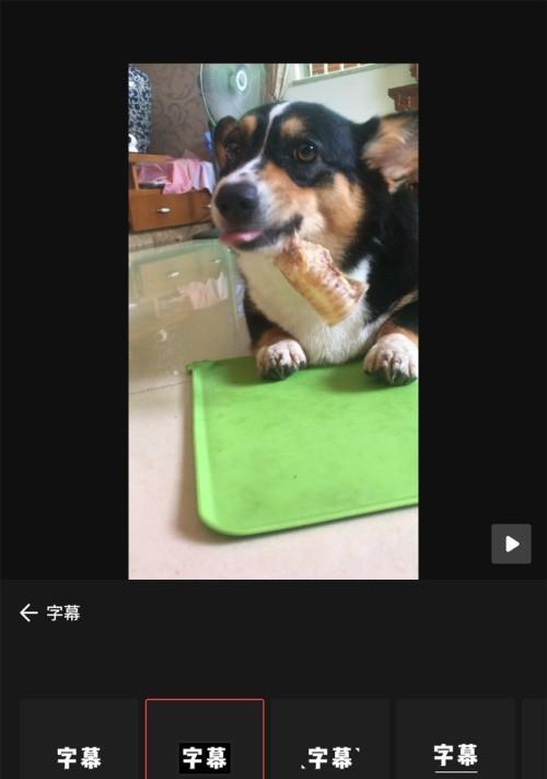哪些手机游戏支持录制字幕？如何开启游戏内字幕录制功能？  第2张