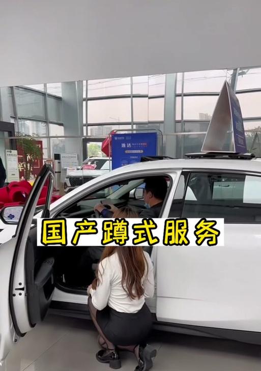 客户汽车销售是什么意思？  第3张