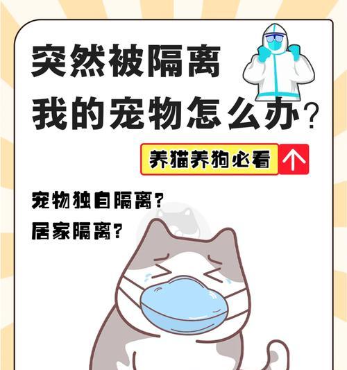 华为手机宠物怎么上班？操作步骤是什么？  第2张