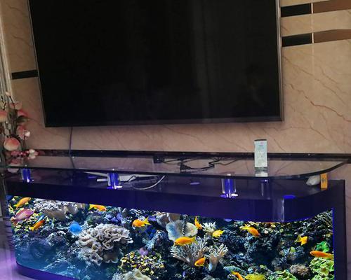 电视机鱼缸的安装步骤是什么？需要哪些工具和材料？  第2张