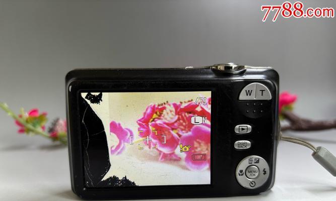2008年流行的数码相机品牌有哪些？  第2张