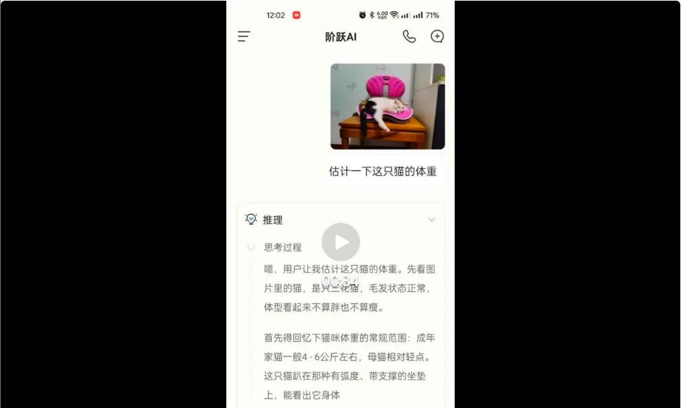 实测爆火的阶跃星辰Step 3，性能SOTA，开源多模态推理之王  第6张
