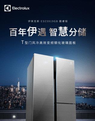 解决伊莱克斯冰箱E0显示问题的有效方法（排查和解决伊莱克斯冰箱E0错误的步骤）  第1张