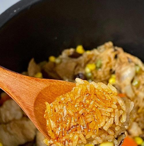 解决电饭煲噪音大的问题（有效降低电饭煲噪音，享受宁静烹饪时光）  第3张