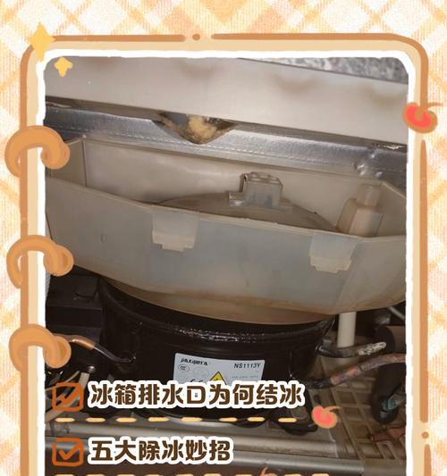 冰箱排水盒处理好的实用方法（解决冰箱排水盒问题的关键步骤及技巧）  第3张