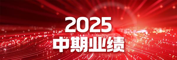 破局而立，向智而行——长虹佳华 2025 中期业绩背后的增长逻辑  第1张