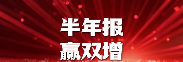 破局而立，向智而行——长虹佳华 2025 中期业绩背后的增长逻辑  第2张