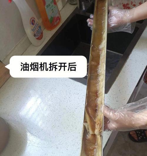 如何正确清洗大信油烟机（大信油烟机清洗技巧与注意事项）  第1张